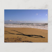 Playa del Rey Breakers - Mike Izzo Postkarte (Vorderseite)