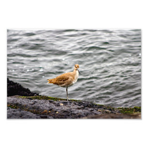 Playa Del Rey Fotodruck