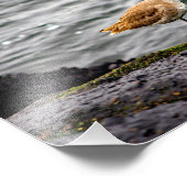 Playa Del Rey Fotodruck (Ecke)