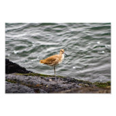 Playa Del Rey Fotodruck (Vorne)