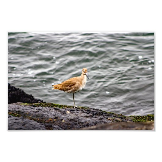 Playa Del Rey Fotodruck (Vorne)