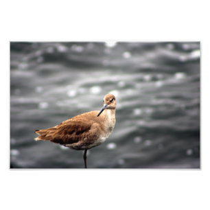 Playa Del Rey Fotodruck