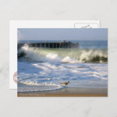Playa del Rey Surf - Mike Izzo Postkarte (Vorne/Hinten)