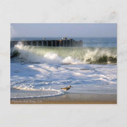 Playa del Rey Surf - Mike Izzo Postkarte (Vorderseite)