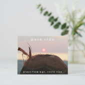 Playa Flamingo Sunset Coconut Costa Rica Postcard Postkarte (Stehend Vorderseite)