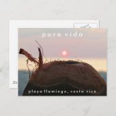 Playa Flamingo Sunset Coconut Costa Rica Postcard Postkarte (Vorne/Hinten)