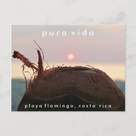 Playa Flamingo Sunset Coconut Costa Rica Postcard Postkarte