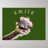 Playable Ostrich Poster - Lächeln - Deine Farbe -  (Vorne)