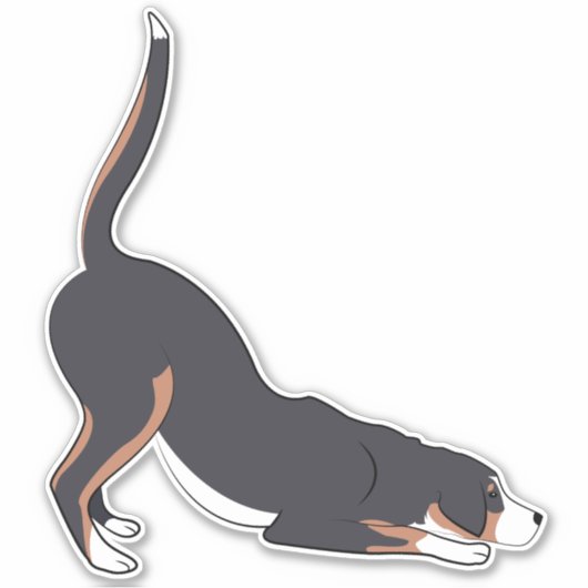 Playbow Swissy Sticker (Vorderseite)