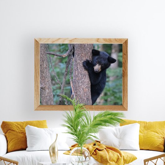 Playful Baby Black Bear Cube in Tree Foto Poster