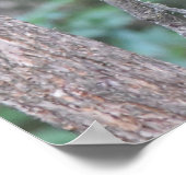 Playful Baby Black Bear Cube in Tree Foto Poster (Ecke)