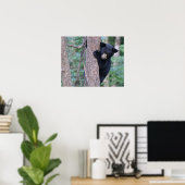 Playful Baby Black Bear Cube in Tree Foto Poster (Heimbüro)