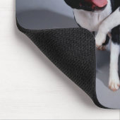 Playful Boston Terriers Mousepad (Ecke)