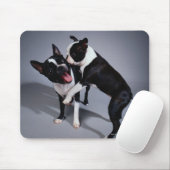 Playful Boston Terriers Mousepad (Mit Mouse)