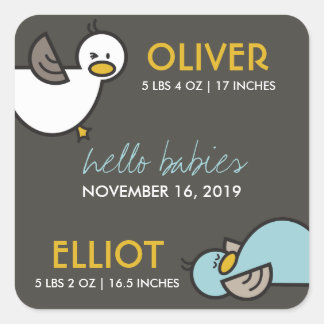 Playful Cartoon Ducks Twin Boys Neue Babyaufkleber Quadratischer Aufkleber
