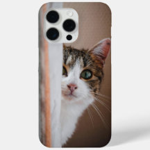 Playful Cat Luka Chuppi Telefoncase