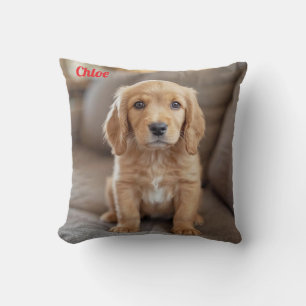 Playful Cocker Spaniel Kissen