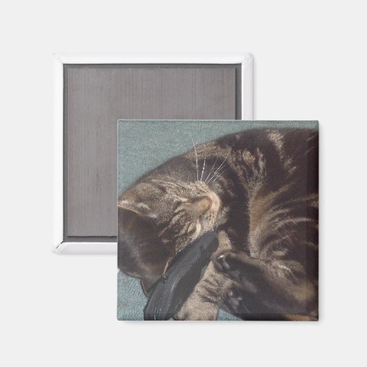 Playful Dave 5.1 Cm Square Magnet (Vorderseite/Rückseite)