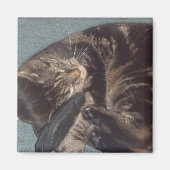 Playful Dave 5.1 Cm Square Magnet (Vorne)