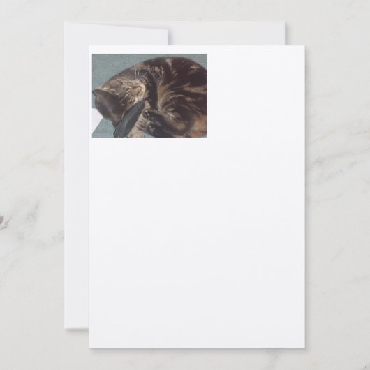 Playful Dave Artisan: Felt Ecru Einladungen (Vorderseite)