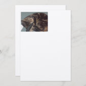 Playful Dave Artisan: Felt Ecru Einladungen (Vorne/Hinten)