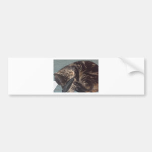 Playful Dave Autoaufkleber