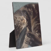 Playful Dave Fotoplatte (Seite)