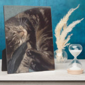 Playful Dave Fotoplatte (Seite)