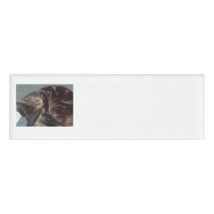 Playful Dave Name Tags Namenschild