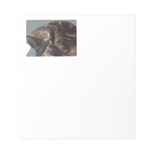 Playful Dave Notizblock (Vorderseite)