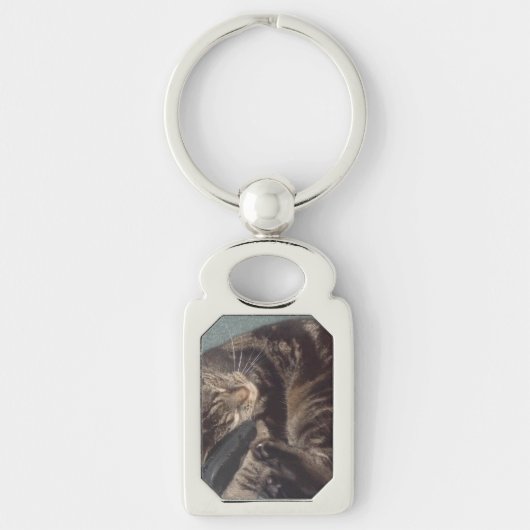 Playful Dave Rectangle Metal Schlüsselanhänger (Vorderseite)