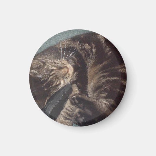 Playful Dave Small, 3,2 cm Round Magnet (Vorne)