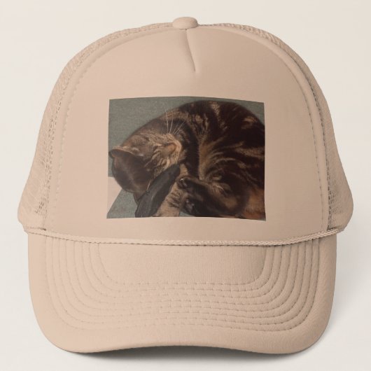 Playful Dave Trucker Hat Truckerkappe (Vorderseite)