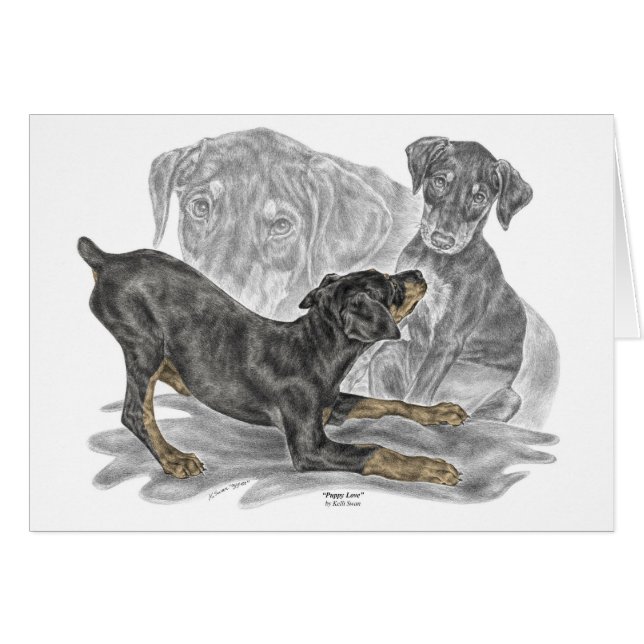 Playful Doberman Pinscher Puppies (Vorderseite (Horizontal))