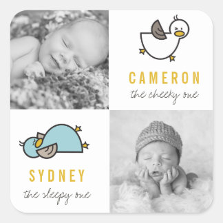 Playful Ducks Twin Boys New Babys Foto Sticker