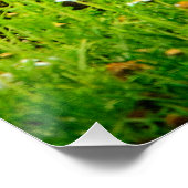 Playful Fox Kits Wildlife Nature Photography Print Poster (Ecke)