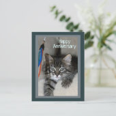 Playful Kitten Kimber Anniversary Postcard Postkarte (Stehend Vorderseite)