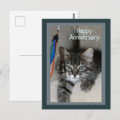 Playful Kitten Kimber Anniversary Postcard Postkarte (Vorne/Hinten)