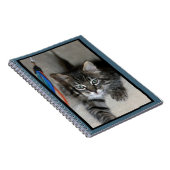 Playful Kitten Kimber Notebook Notizblock (Rechte Seite)