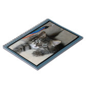 Playful Kitten Kimber Notebook Notizblock (Linke Seite)