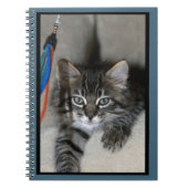 Playful Kitten Kimber Notebook Notizblock (Vorderseite)