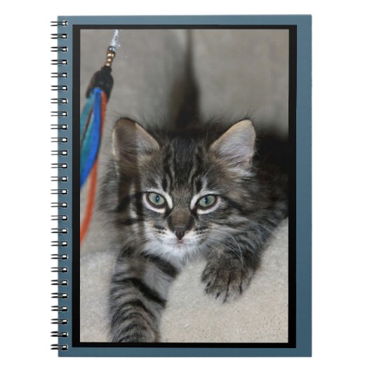 Playful Kitten Kimber Notebook Notizblock (Vorderseite)