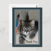 Playful Kitten Kimber Vielen Dank Postcard Postkarte (Vorne/Hinten)
