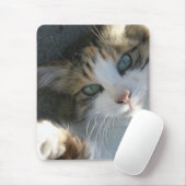 Playful Kitty Mousepad (Mit Mouse)