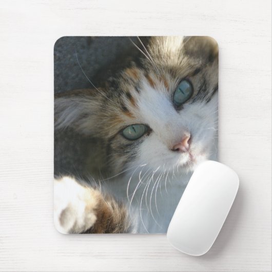 Playful Kitty Mousepad (Mit Mouse)