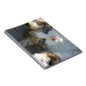 Playful Kitty Notizblock (Rechte Seite)