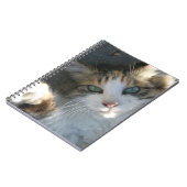 Playful Kitty Notizblock (Linke Seite)