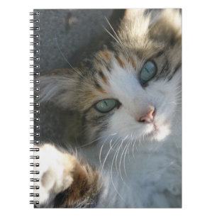 Playful Kitty Notizblock