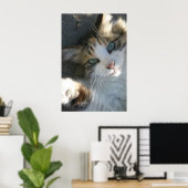 Playful Kitty Poster (Heimbüro)