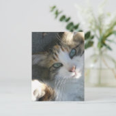 Playful Kitty Postkarte (Stehend Vorderseite)